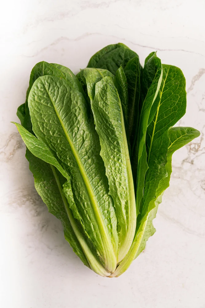 Lettuce Romaine