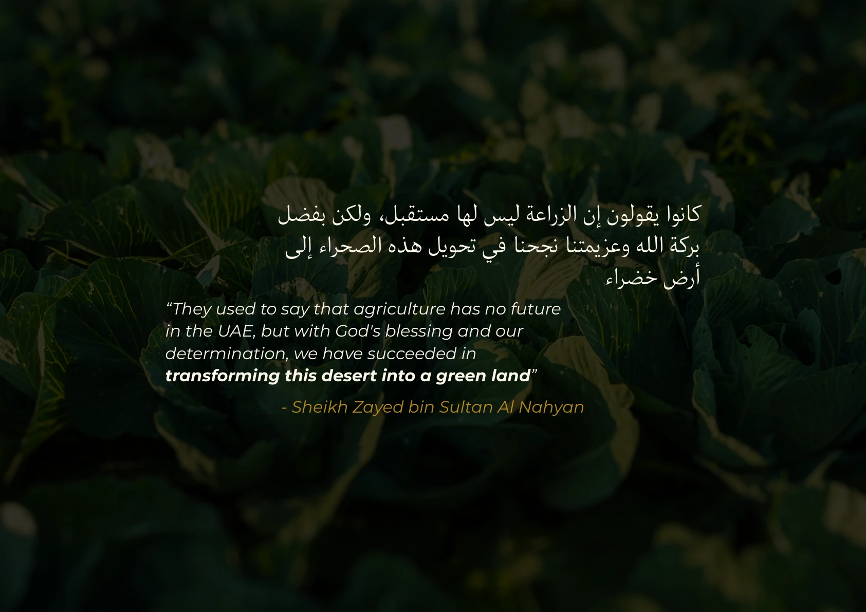 Sheikh Zayed’s vision