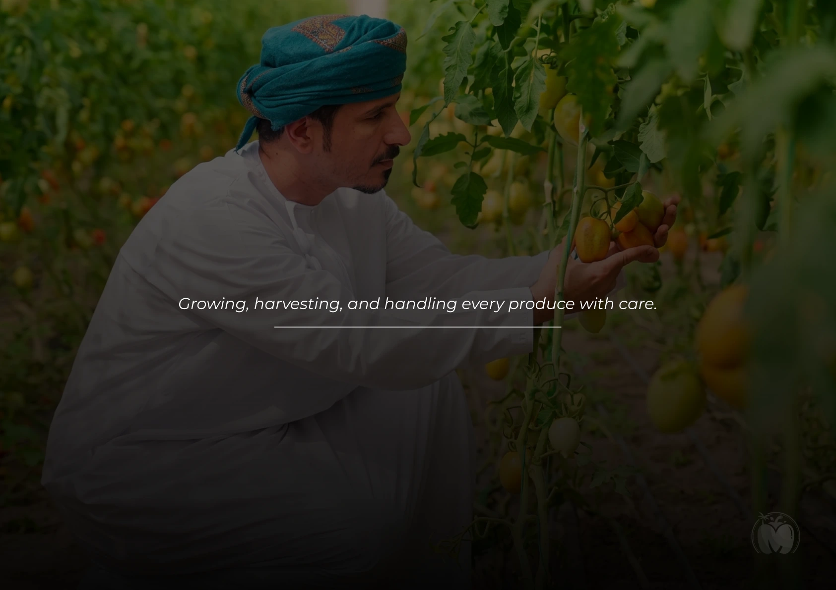 Care in every harvest