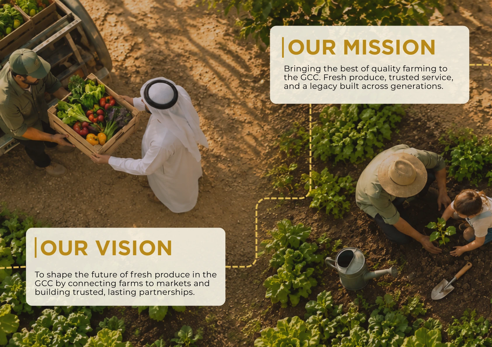 Our mission and vision
