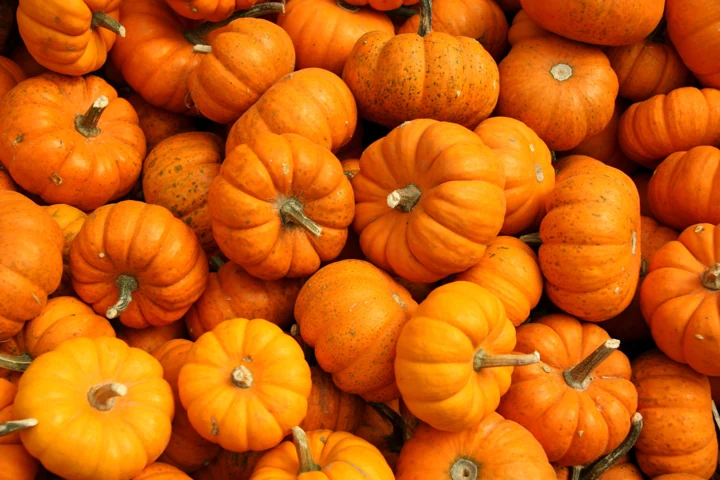 Pumpkin